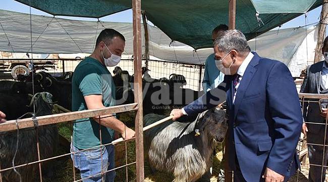 Vali Işık Kurban Pazarında İncelemelerde Bulundu