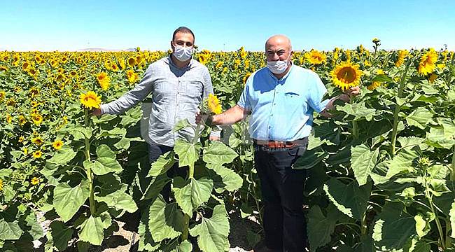 Bayram: “Tapusuz çiftçilerimiz destek alamıyor”