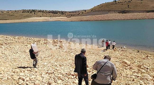 Karaman'da 20 bin pullu sazan yavrusu bırakıldı