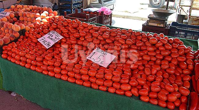 Karaman'da salçalık sezonu açıldı