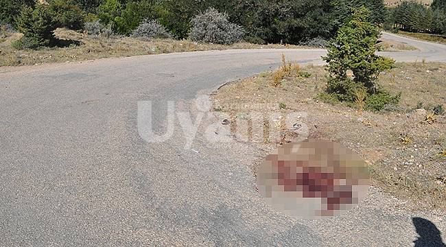 Karaman'da yol kenarında yaralı bulunan şahıs hastanede öldü