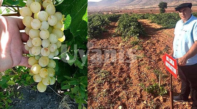 Karaman'ın güzel gelenekleri hala yaşatılıyor