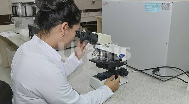 KMÜ'den gıda mühendisliğinde doktora fırsatı