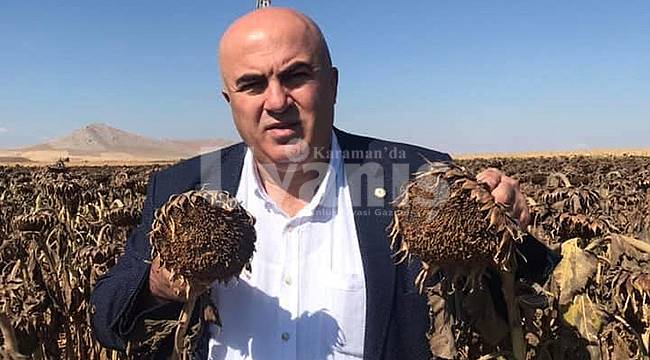 "Yağlık ayçiçeği fiyatında oluşan Artış üreticimizi memnun ediyor"