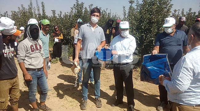 Karaman'ın elması değer kazanacak