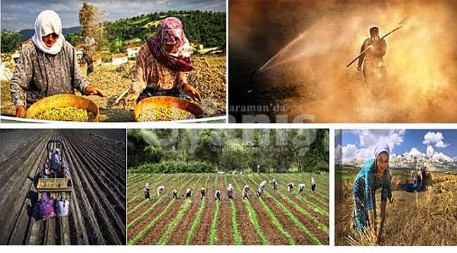 15 Ekim Dünya Kadın Çiftçiler Günü