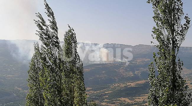 Başyayla'da orman yangını