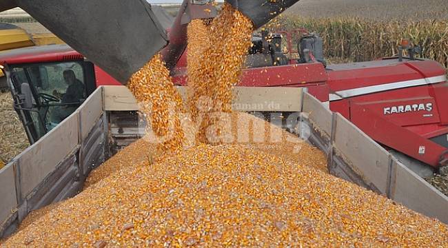Bayram'dan mısır üreticilerine uyarı