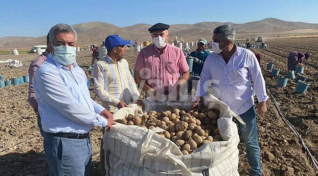 Burunoba köyünde patates hasadına başlandı