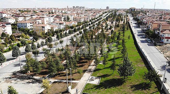 Karaman'da korulukta çalışmalar devam ediyor