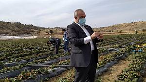 Çiftçinin Sulama Suyu İçin Kullandığı Elektrik Masrafı Düşecek