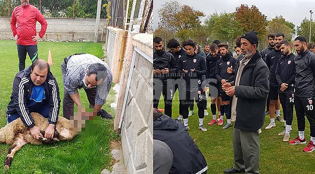 Karaman Belediyespor kurban kesti