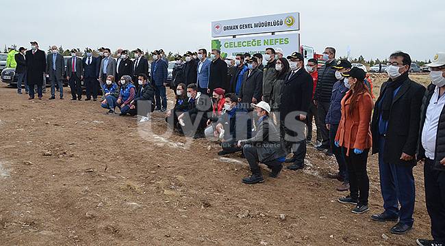 Karaman'da 10 bin fidan toprakla buluştu