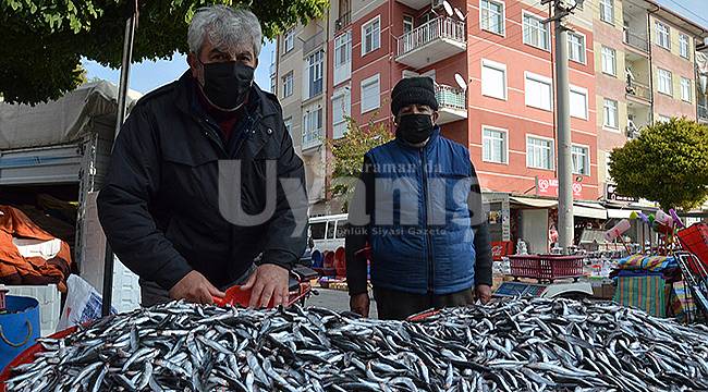 Karamanlıların balık tercihi hamsi