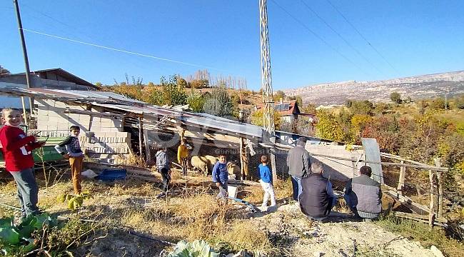 Karaman'da Kurtlar Köye Dadandı