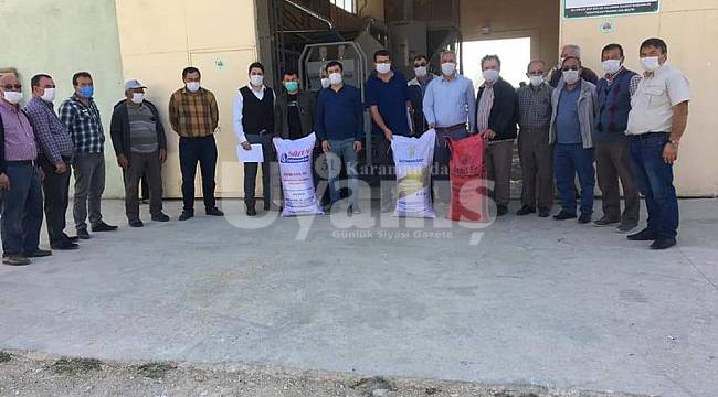 Üreticilere tohum dağıtıldı