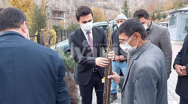 Başyayla'da çiftçiye 2 bin 500 fidan dağıtıldı