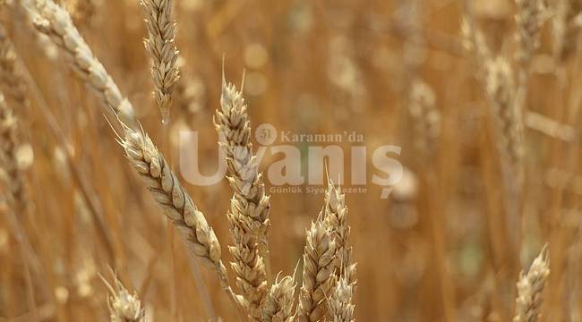 Bayram'dan çiftçilere verim sigortası uyarısı