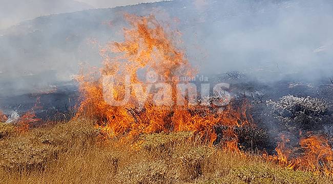 Karaman'da bahçedeki otları yakarken yanan kadın hayatını kaybetti
