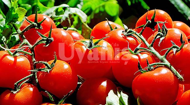 Karaman'da fiyatı en çok artan domates oldu