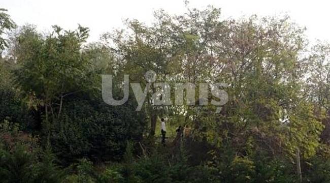 Karaman'da kayıp başvurusu yapılan adamın cesedi ormanlık alanda bulundu
