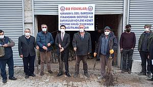 Sarıveliler'de 8 bin 465 fidan çiftçiye dağıtıldı