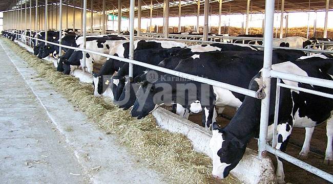Tarımsal Kalkınma Kooperatiflerinin Borç Yapılandırma Başvuruları 31 Ocak'ta Sona Erecek