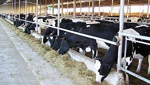 Tarımsal Kalkınma Kooperatiflerinin Borç Yapılandırma Başvuruları 31 Ocak'ta Sona Erecek