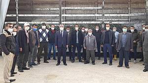 Üreticiye Ceviz, Zeytin Fidanı Ve Bağ Çubuğu Dağıtıldı