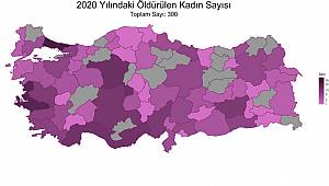 2020'de Karaman'da Hiç Kadın Cinayeti Yaşanmadı. Teşekkürler Karaman