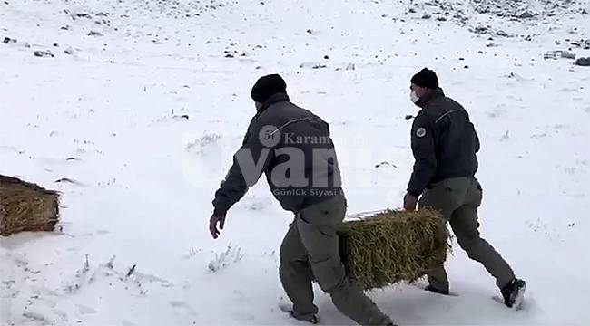Karadağ'daki yaban hayvanları için yem takviyesi yapıldı