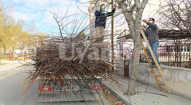 Karaman'da budanan dallar geri dönüşüme kazandırılıyor