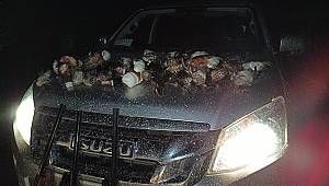 Karaman'da kaçak avlanan 11 kişiye ceza yağdı