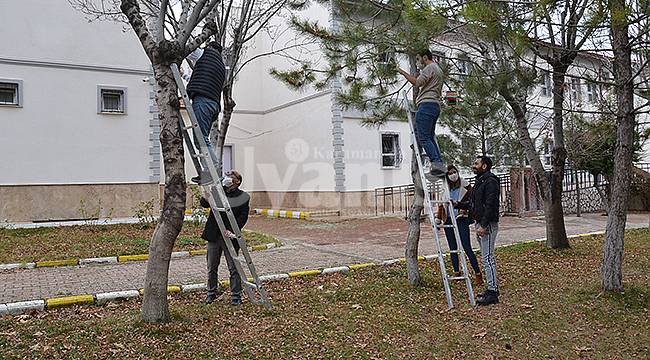 Karaman'da öğretmenler kuş evleri yaptı