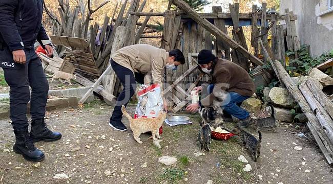 Kaymakam Çelik Kısıtlamada Sokak Hayvanlarını Unutmadı
