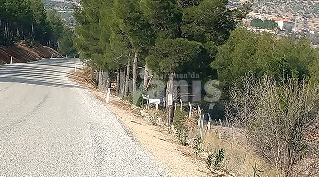Ölmez; "Bucakkışla-Bostanözü hattı turizme kazandırılmalı!"