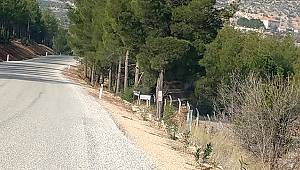 Ölmez; "Bucakkışla-Bostanözü hattı turizme kazandırılmalı!"