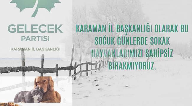 Gelecek Partisi, Sokak Hayvanlarını Unutmadı
