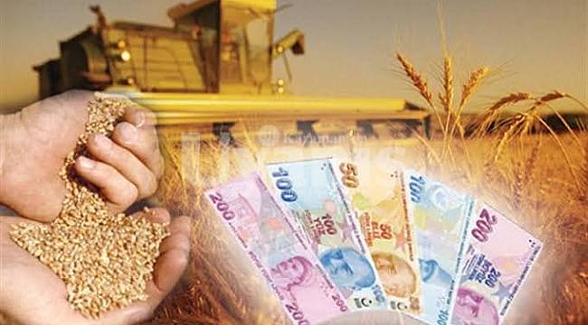 Hububat ve Yem Bitkileri Destek Ödemeleri Başladı