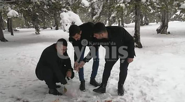 Karaman Ülkü Ocakları yaban hayatı unutmadı