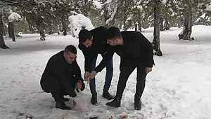 Karaman Ülkü Ocakları yaban hayatı unutmadı