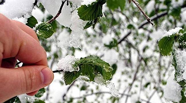 Meteoroloji'den Zirai Don Uyarısı
