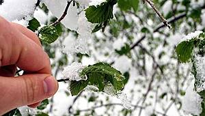 Meteoroloji'den Zirai Don Uyarısı