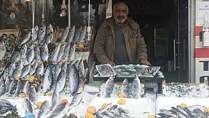 Pandemi Balık Sektörünü De Vurdu