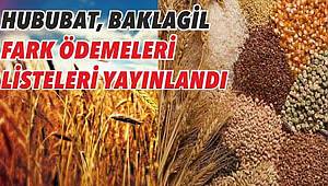 Hububat, Baklagil Fark Ödemeleri Listeleri Yayınlandı