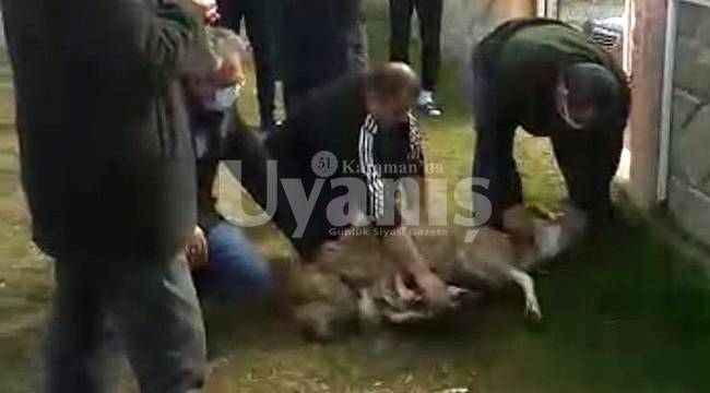 Karaman Belediyespor başarı için kurban kesti