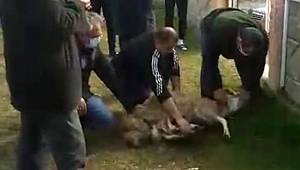 Karaman Belediyespor başarı için kurban kesti