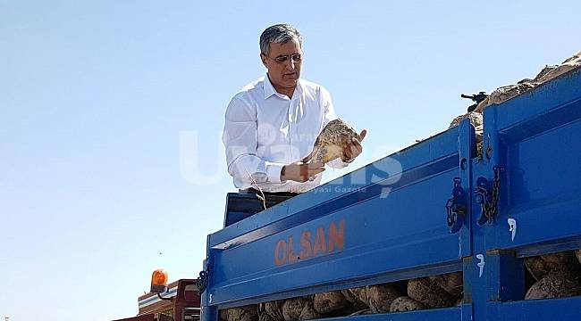 Konya Şeker, Pancar Bedelinin Kalan Bakiyesinin Ödemelerine Yarından İtibaren Başlıyor