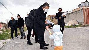 Vali Işık