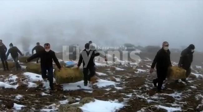 Yaban hayvanları için doğaya yem bırakıldı